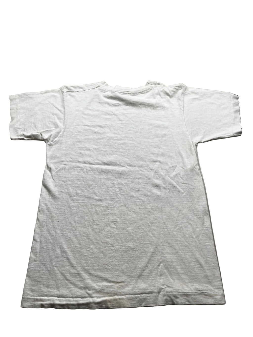 Vintage Jesus Cares Fruit Of The Loom T-Shirt