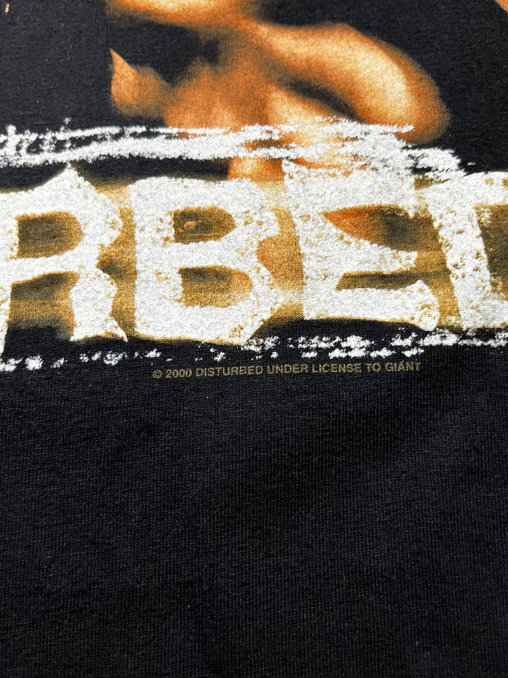 Vintage Disturbed The Sickness Era Band Graphic T-Shirt