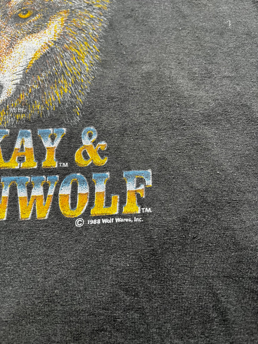 Vintage John Kay and Steppenwolf Wolf Graphic T-Shirt Black