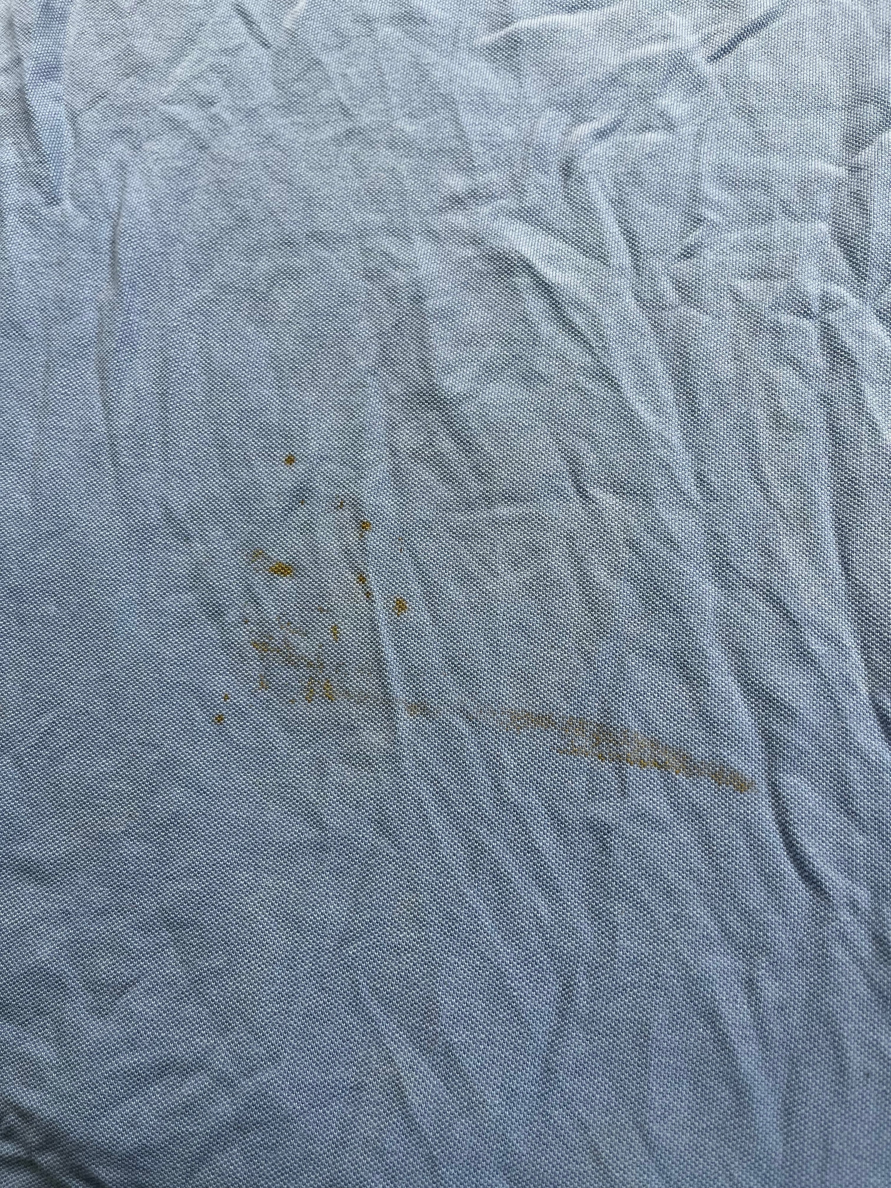 Polo Ralph Lauren Bear Embroidered
