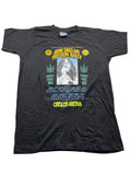 Vintage 1970s Hanes T-shirt "John Sinclair Freedom Rally"