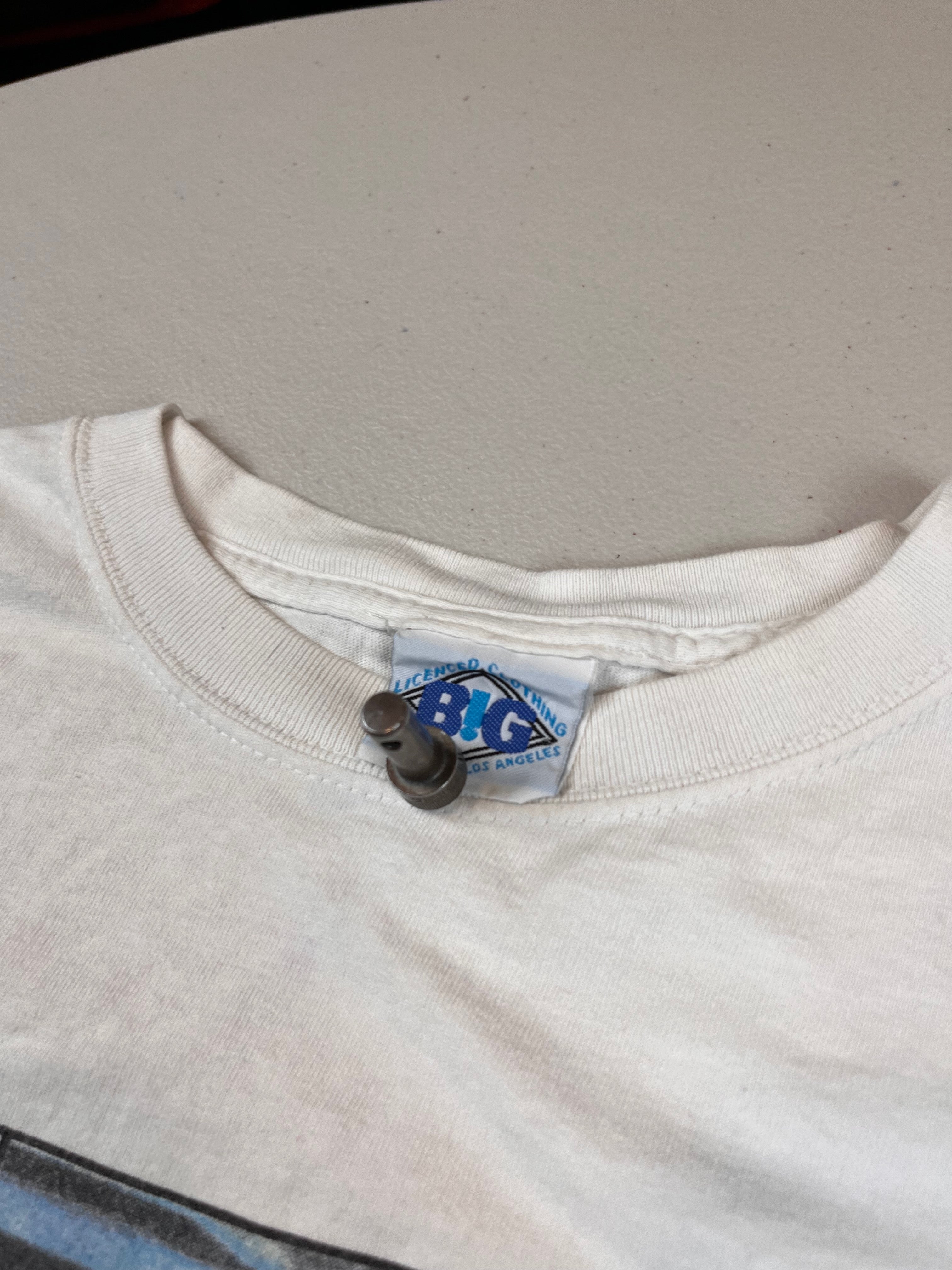 Vintage 1999 Roger Waters In The Flesh Tour T-Shirt
