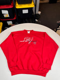 Vintage Tampa Bay Buccaneers NFL Crewneck Sweatshirt