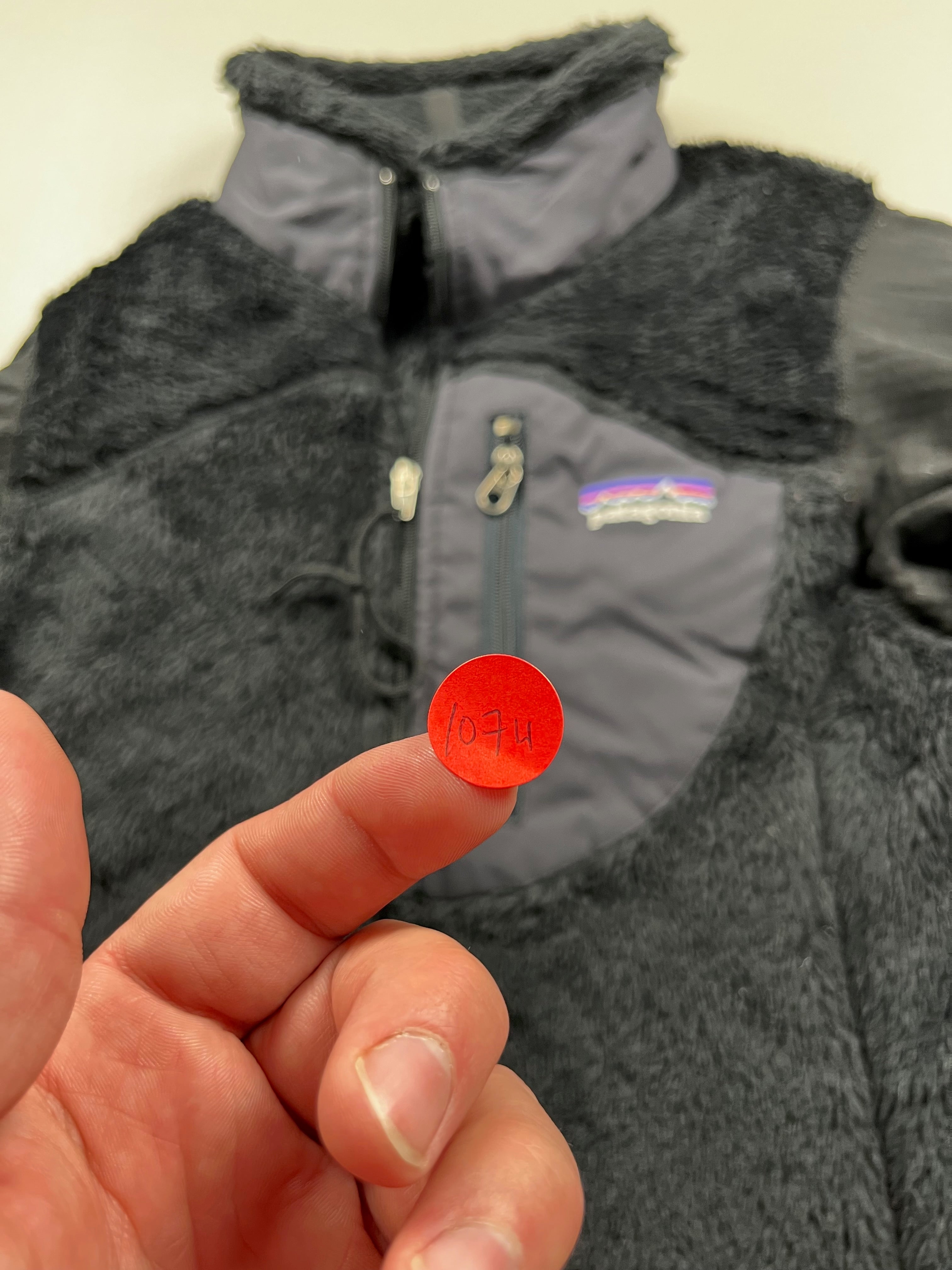 Vintage Patagonia R2 Alpine Fur Fleece Pullover