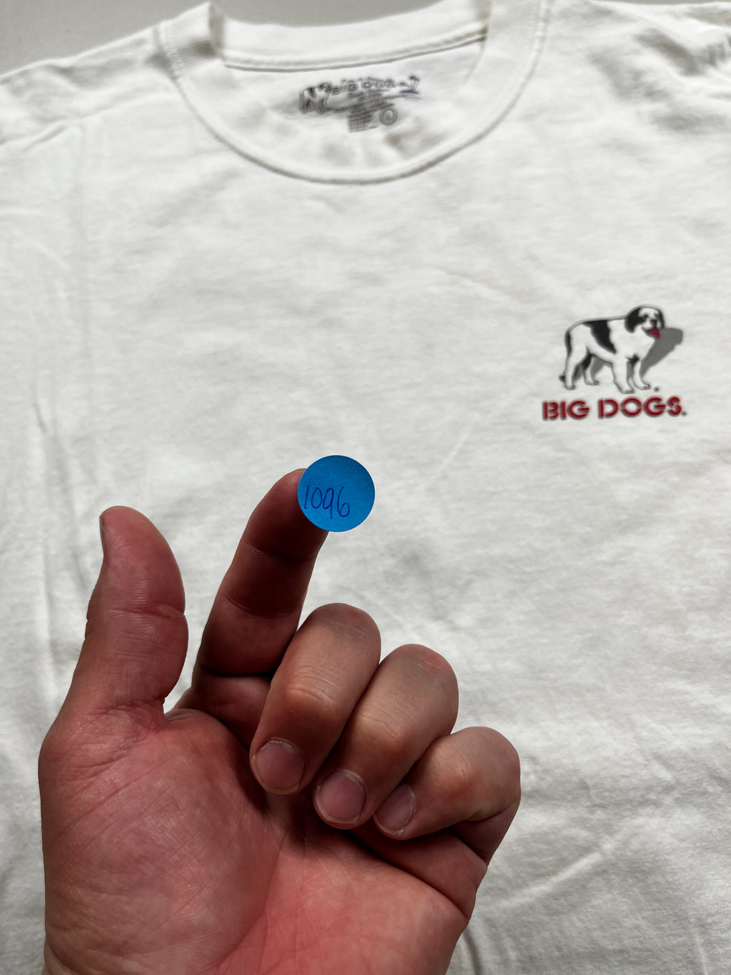 Vintage Big Dogs Fix Stupid Graphic Shirt
