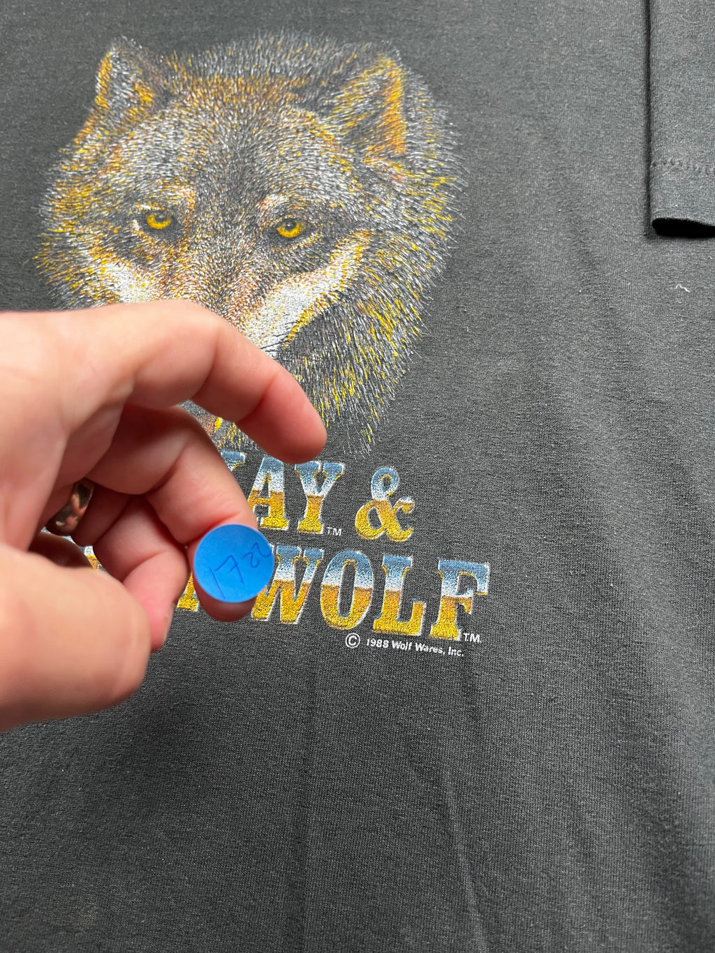 Vintage John Kay and Steppenwolf Wolf Graphic T-Shirt Black